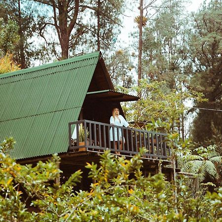 Cardinal Glamping Hotel Guatape Ngoại thất bức ảnh